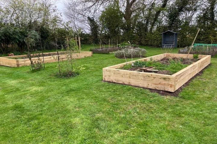 Raised wooden garden beds in lush green outdoor space with trees and shed.