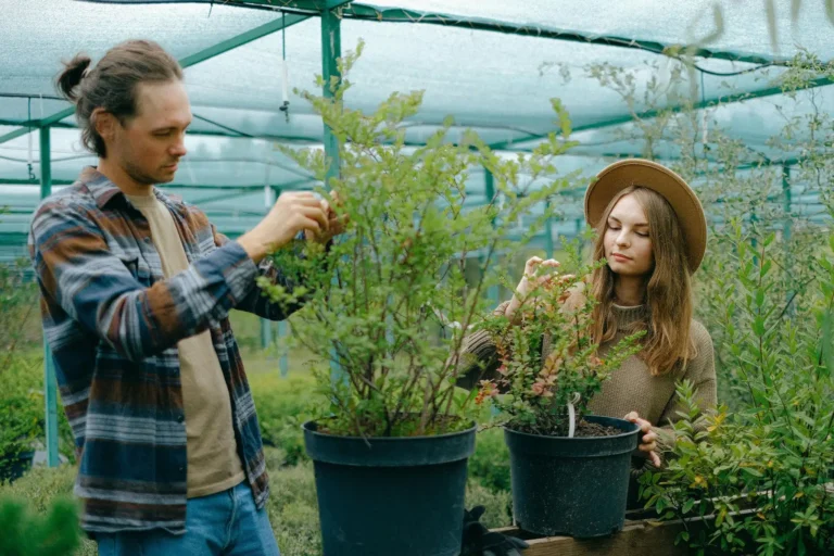 Gardeners inspecting potted plants in greenhouse nursery.